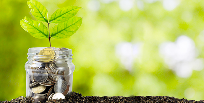 Want to mange your finances
